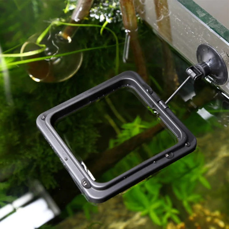 Кормления кольцо аквариума станция плавающий Еда поднос фидер | Дом и сад