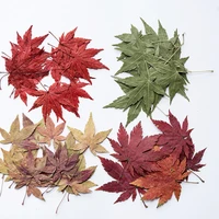 120pcs pressed dried flower maple leaf plants herbarium for epoxy jewelry bookmark phone case makeup nail art craft diy