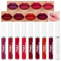 dnm 19 colors mist silky lip gloss makeup soft smooth lipstick non stick cup long lasting women red lip tint cosmetic qbmy