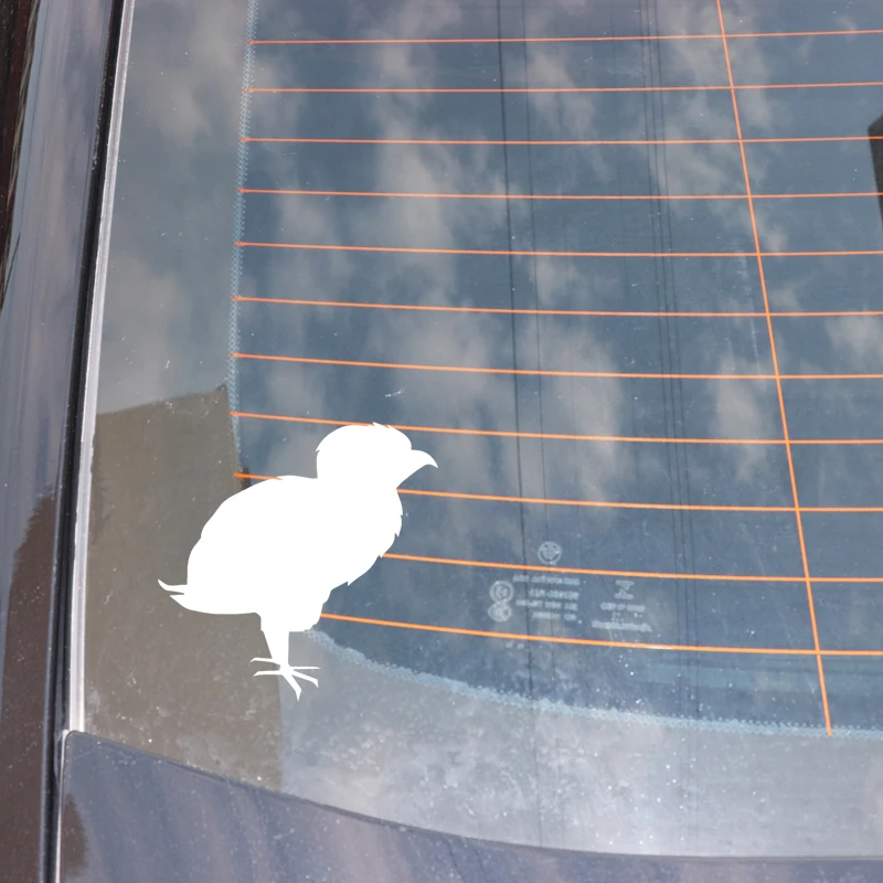 

YJZT 15.7CM*15.7CM Little Bird Lovely Pattern Vinyl Decal Car Sticker Decoration Bumper Black/Silver C4-3045