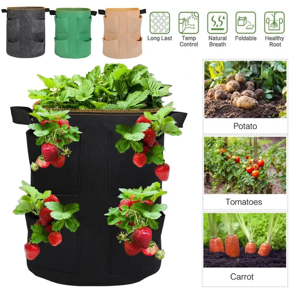 

Growing Bag Reusable Heat-resistant Degradable Planting Nursery Pot Pouch Container for Home Planting Nursery Pot Pouch Containe