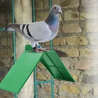 10pcs birds accessoires pigeons doves rest stand parrots cages holder frame dwelling perch pigeons supplies