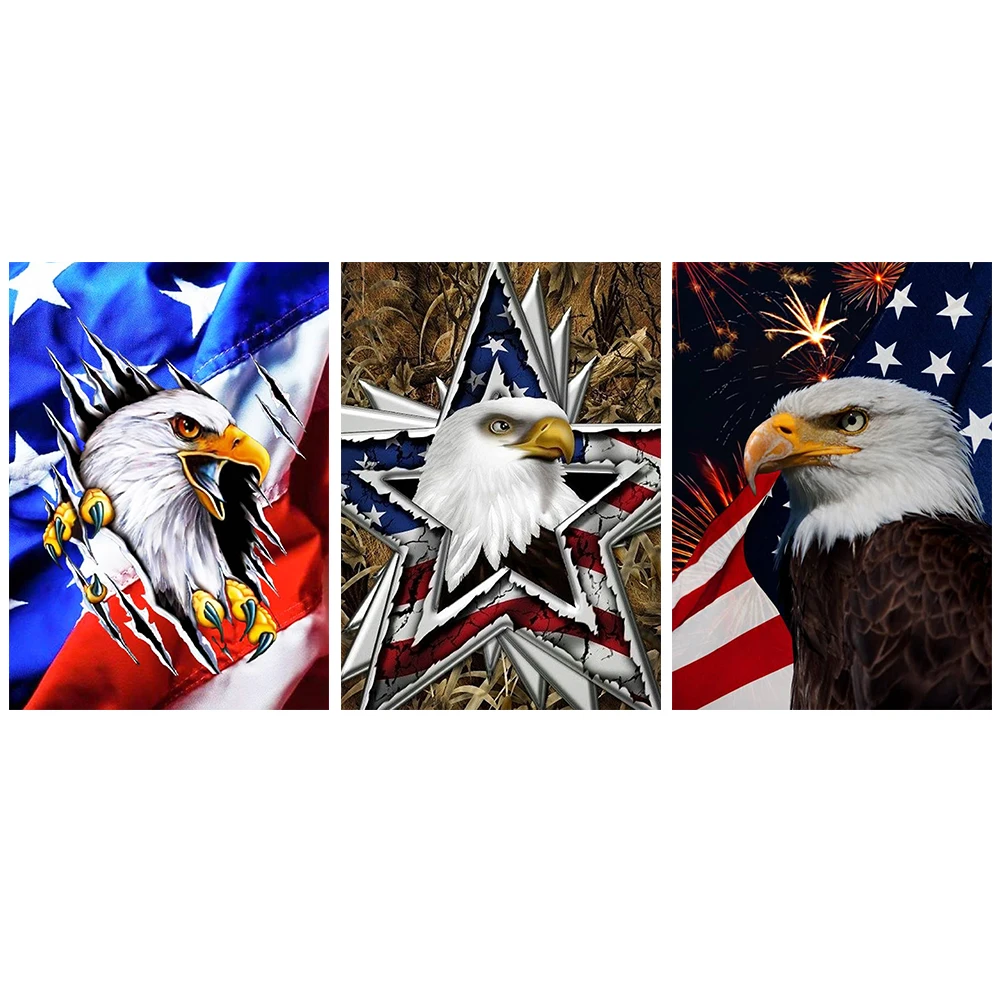 5D алмазная живопись &quotсделай сам&quot День Независимости Орел флаг полная