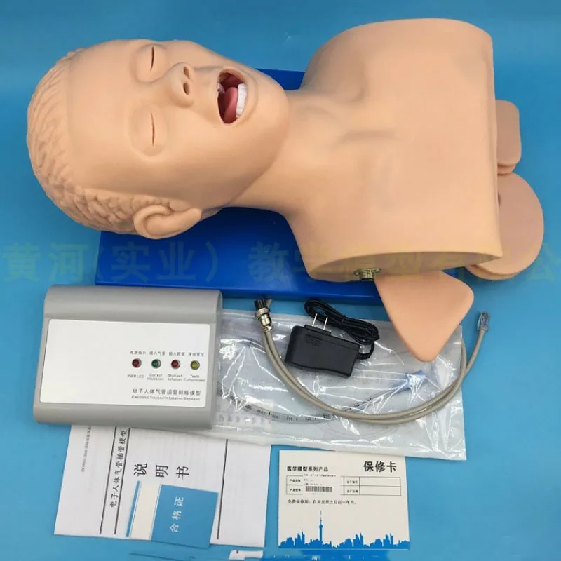 

Intubation human body model learning teaching model airway management training device PVC alarm simulator with teeth