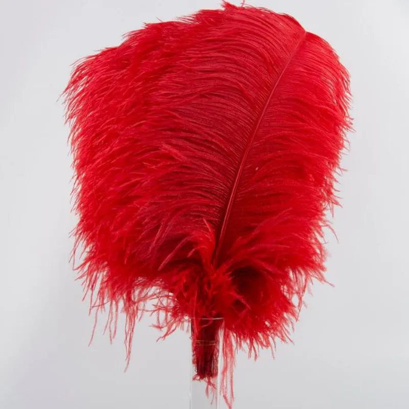 

Wholesale High quality 45-50cm ostrich feathers for craft wedding party Carnival dancer decoration plumas for DIY decoration