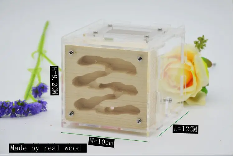 Деревянная муравьиная ферма Муравьиное Гнездо дом для живых муравьев с зоной