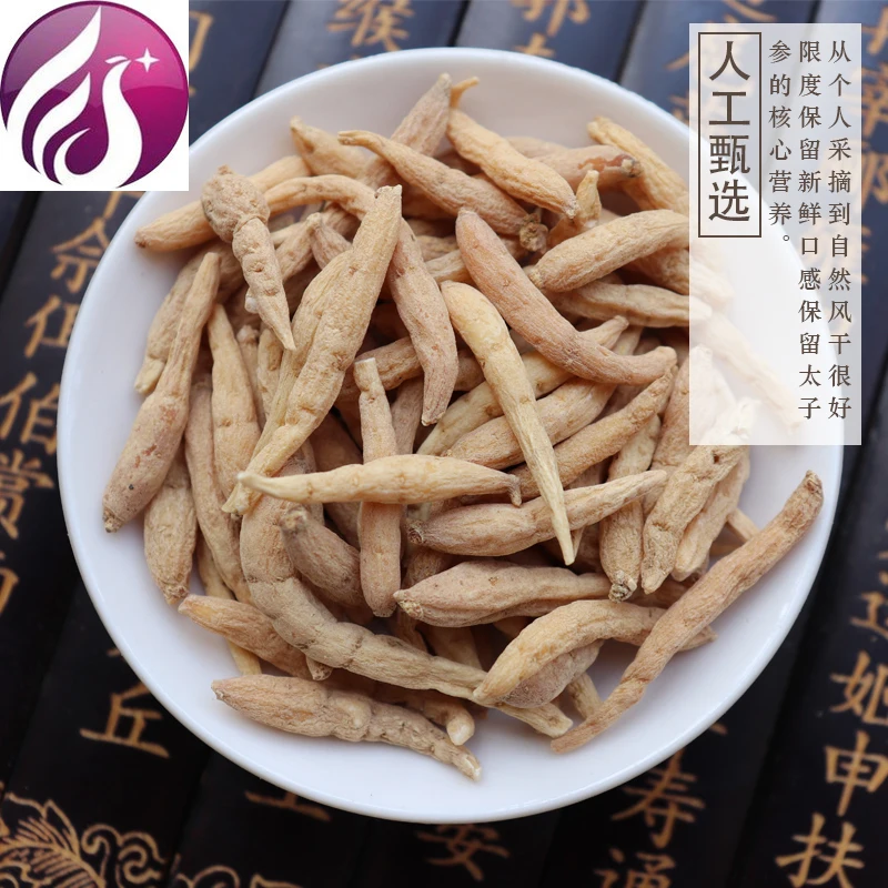 

Taizi,Taizisen Taizisen Taizisen