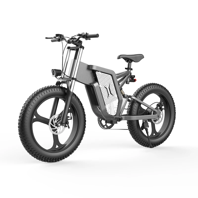 Электрический электровелосипед для езды по бездорожью 20-дюймовый Снежный