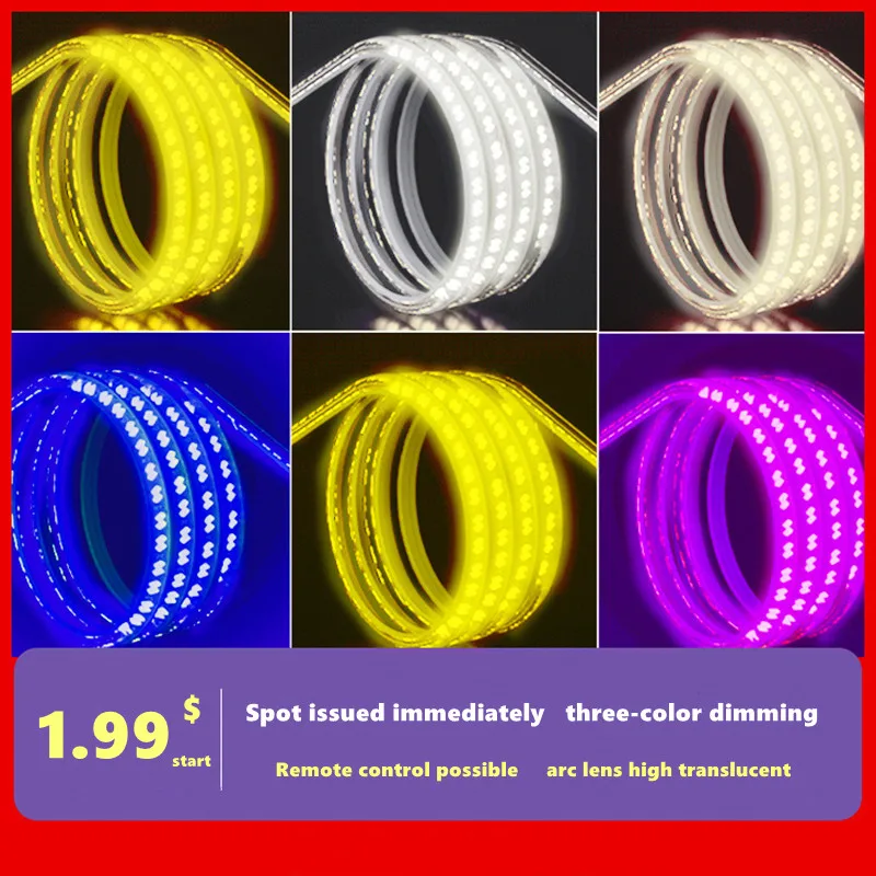 

Lamp with LED tri-color dimming lamp with living room ceiling long waterproof lamp with strip commercial decorative neon lights