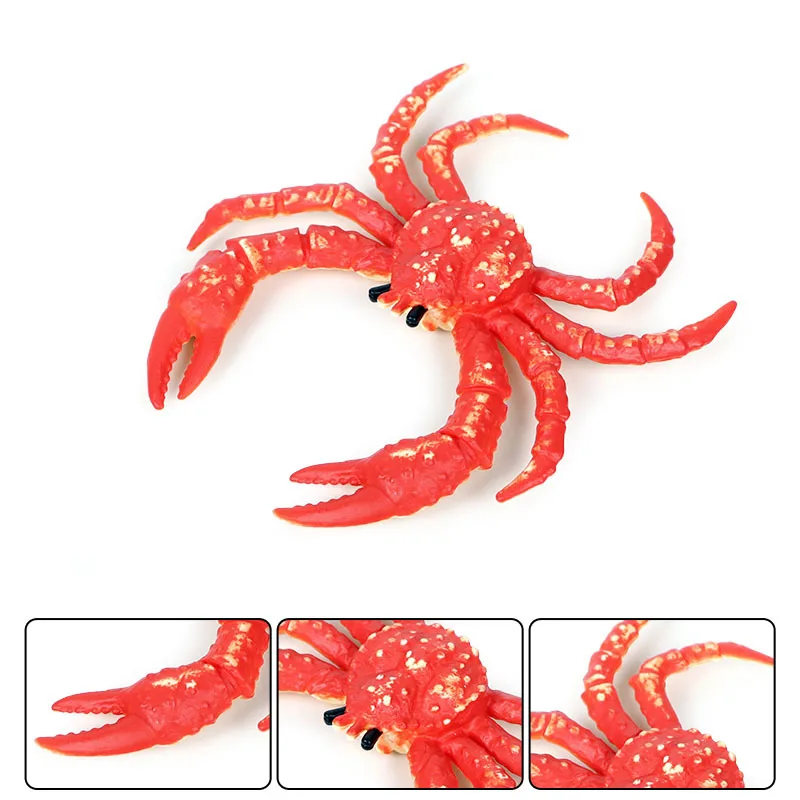 

Ocean Model Sea Life Animals Hermit Crab Marine Animal Model Action Figures Sealife Aquarium Miniature Educational Kid Toys