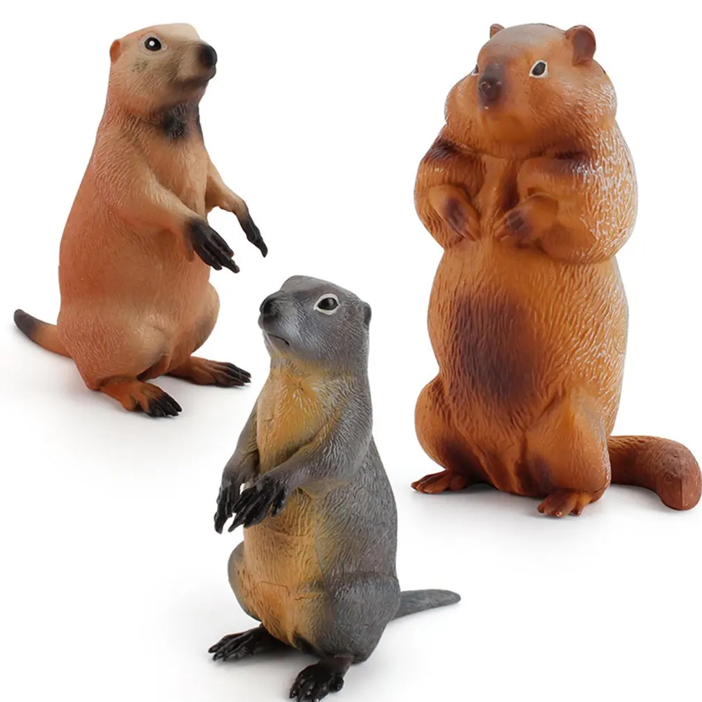 

Wild Animal Model Ground Squirrel Squirrel Chipmunk Forest Grassland Animals Static Hand-made Ornaments