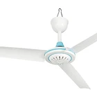 Низковольтный потолочный вентилятор постоянного тока 12 В, домашний электрический вентилятор для кемпинга, белый и синий
