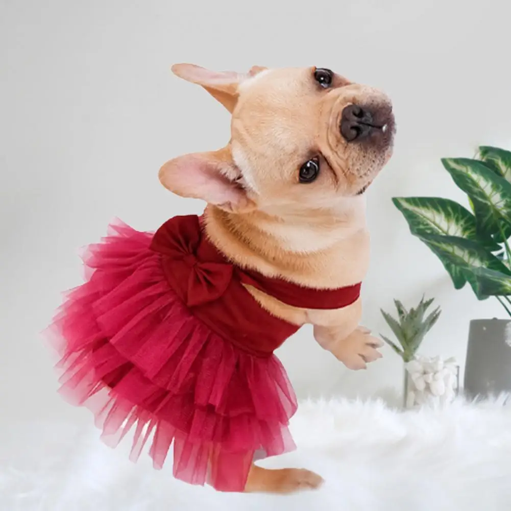 

Универсальная дышащая юбка без рукавов для щенков, летнее платье из тюля для собак