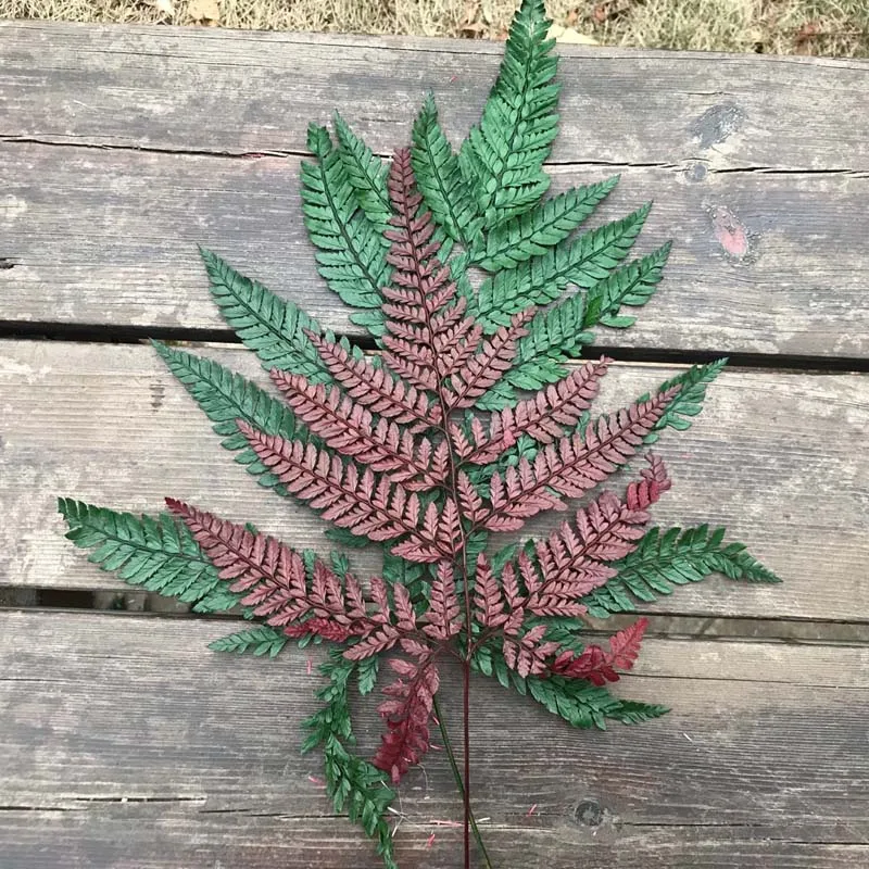 20 ~ 40 см/10 шт сухое натуральное свежее сохраненное растение вечная сушеная трава