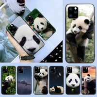 cute asian baby panda bear china phone case for iphone 6 7 8 plus 11 12 promax x xr xs se max back cover