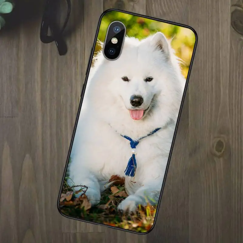 

lovely Samoyed dog Hard Phone Case for iPhone 11 12 mini pro XS MAX 8 7 6 6S Plus X 5S SE 2020 XR
