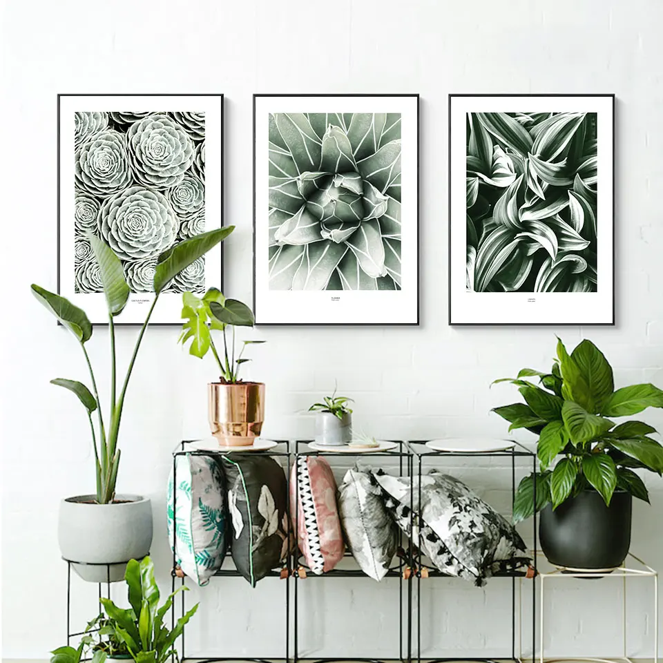 Плакат с суккулентами настенное искусство природный пейзаж холст живопись