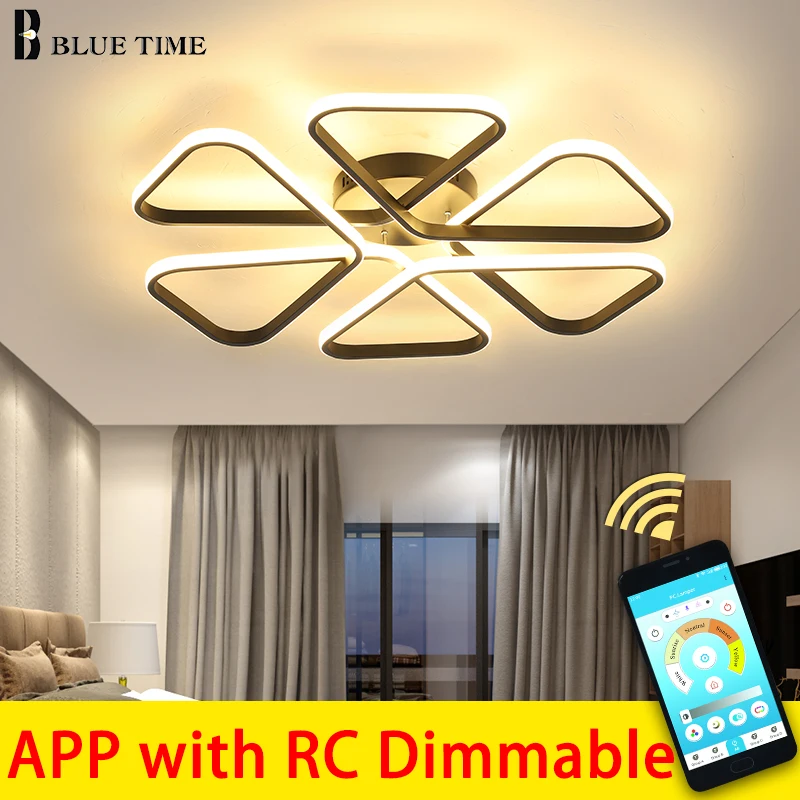 Modern Led Ceiling Light for Living Room Dining Room Kitchen Lighting Fixtures Aisle Light Indoor Ceiling Lamps Lustre lamps