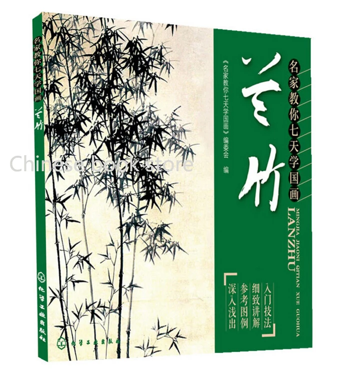 Китайская кисть чернил учебник для рисования традиционная живопись запись
