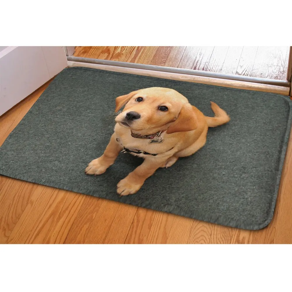 

Funny Doormat Dogs Bedroom Rugs Door Mat for Entrance Way Indoor No-Skid Animal Carpets with Rubber Back Women Children Rug Home