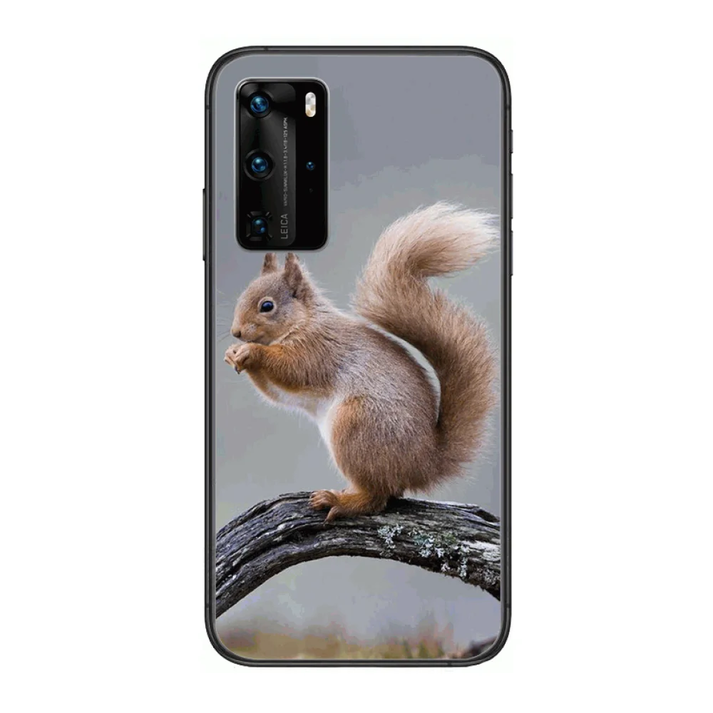 

Cute animals, funny and interesting, does it look like you-frosted anti-drop phone case Phone Case For Huawei P 40 30 20 10 Lite