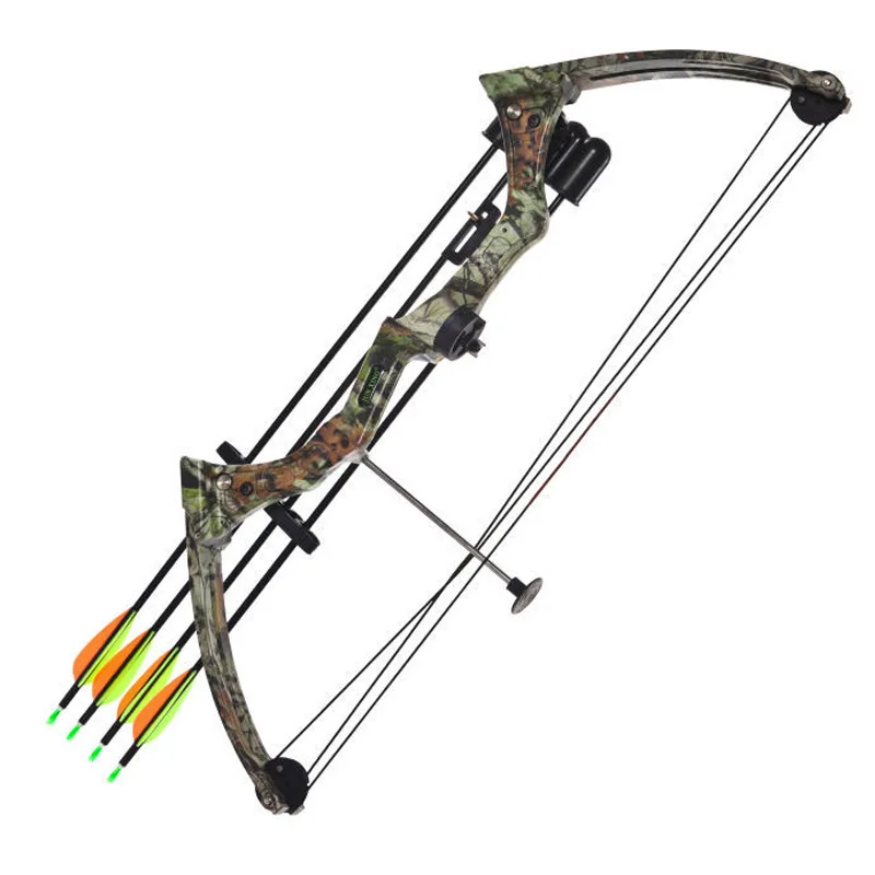 

Outdoor Archery Bow Two-Color 20-Pound Aluminum Alloy Bow Hunting Bow And Arrow Set Pulley Fish Shooting Bow Child Adult