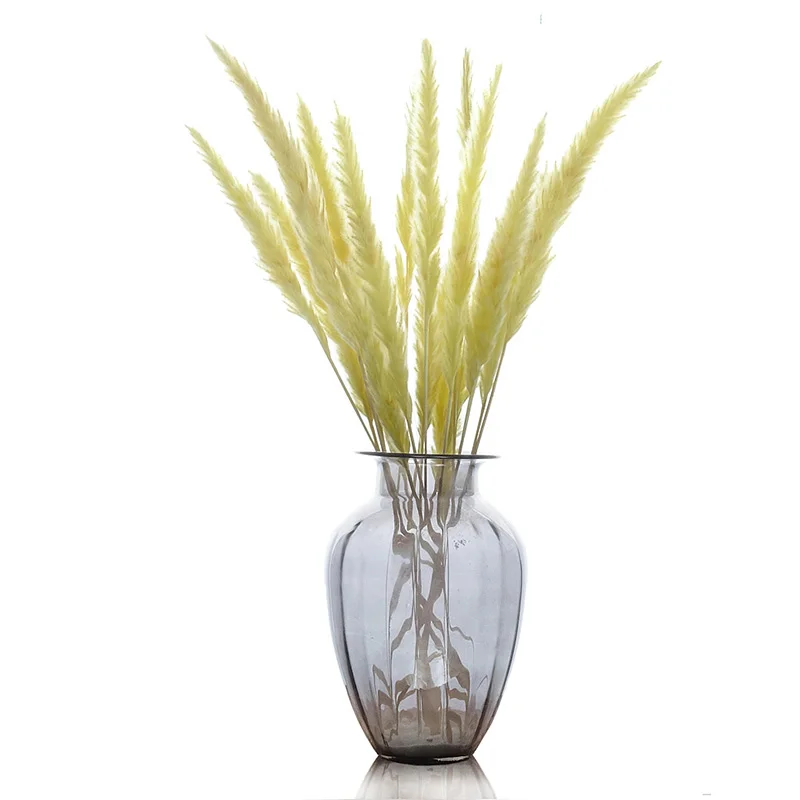 15 шт./упаковка сушеные небольшие пампасы трава Phragmites украшения для дома, отеля, свадьбы FPing