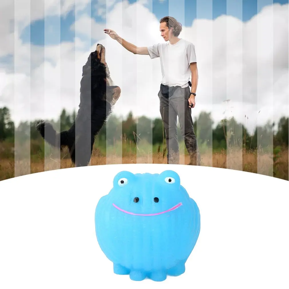 

New Squeaky Pet Molar Toys Plastic Cartoon Frog Voice Fun Toys Wear Resistant And Bite Resistant Dog Molar Toy Pet Supplies