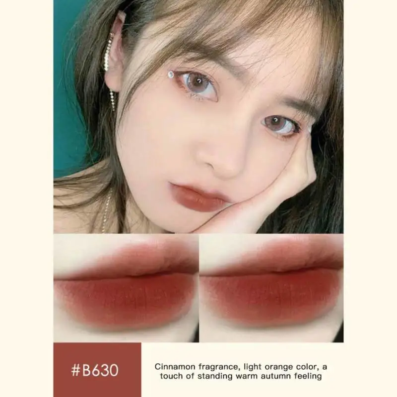 

12 Colors Velvet Matte Lipstick Lasting Waterproof Chestnut LipStick No Fading Lip Gloss For Lady Lip Beauty Makeup Tools TSLM2