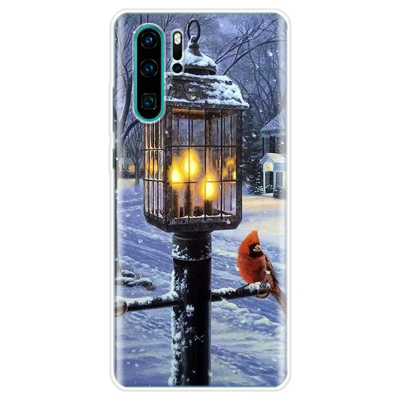 Чехол для телефона с изображением пейзажа и снега Huawei P10 P20 P30 P20Pro P30Lite P30Pro P Smart Z Mate