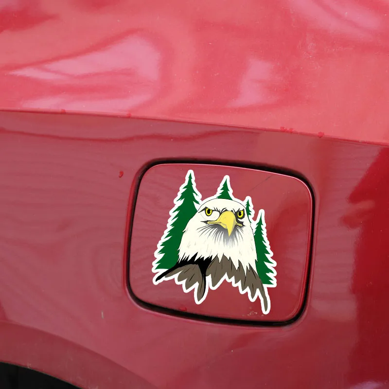 EBdecal Cartoon Forest Eagles Head Colored Decor For Auto Car/Bumper/Window/Wall Decal Sticker Decals DIY CT11467 | Автомобили и
