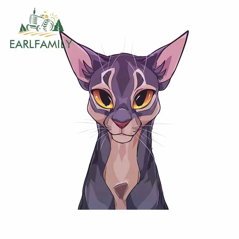 EARLFAMILY 13 см x 9 6 для мультяшных кошек автомобильные аксессуары наклейки на заказ