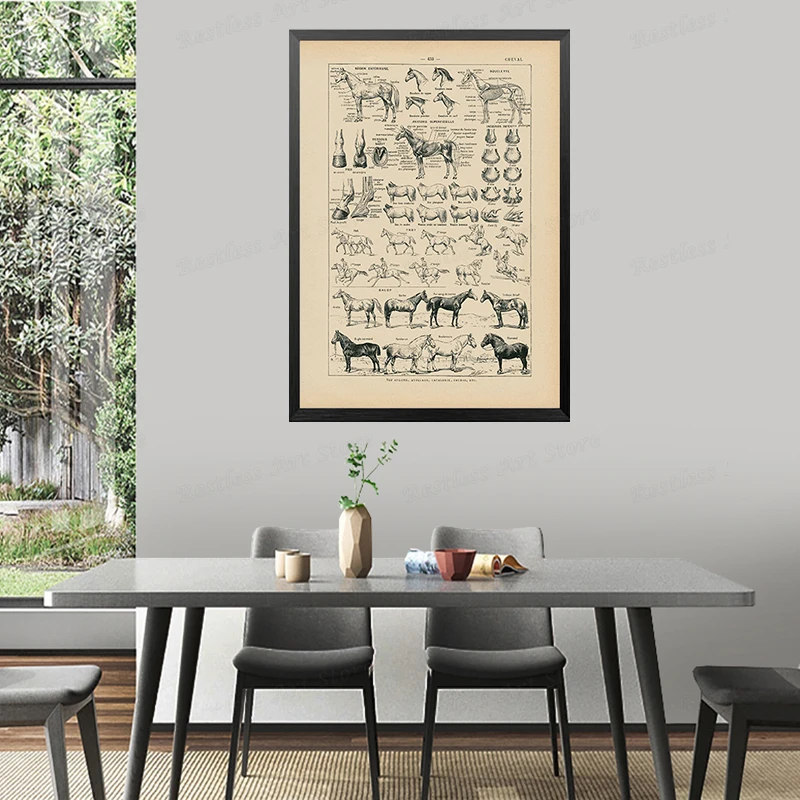Винтажная карта анатомии лошадей живопись на холсте биология настенный