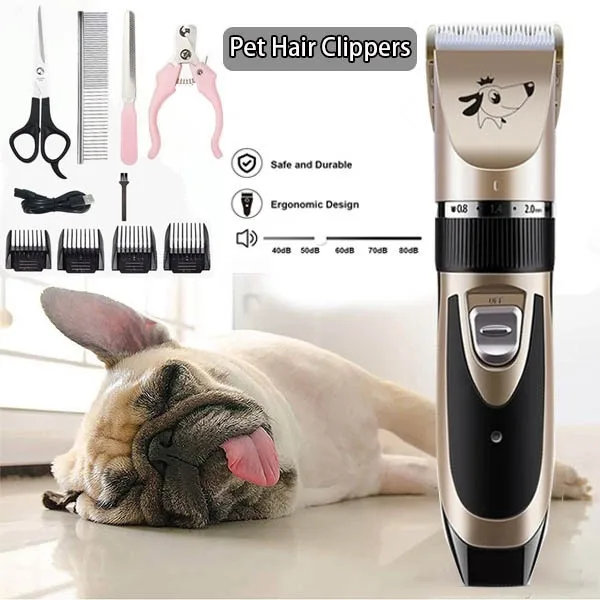 

Personal Care Appliances