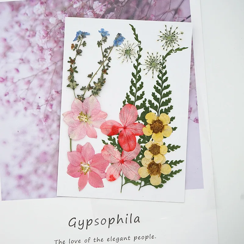 

1 Bag Colorful Real Dried Flower Plant For Aromatherapy Candle Epoxy Resin Pendant Necklace Jewelry Making Craft DIY Accessories