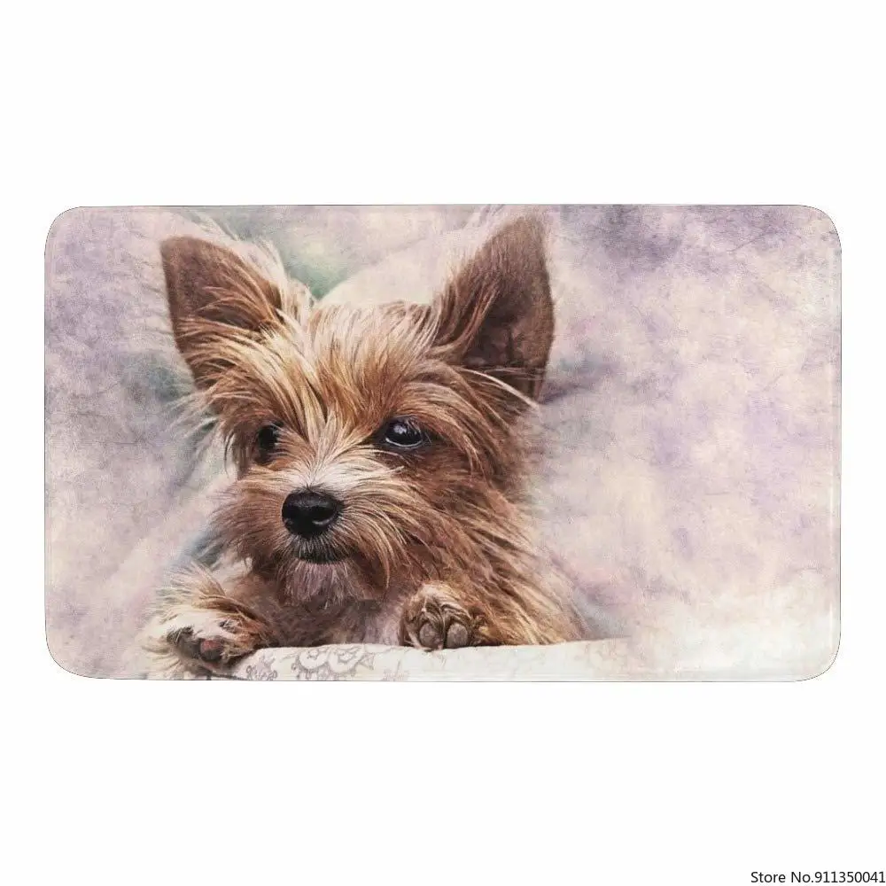 

Non-Slip dogs Door Mat Cute Funny Animal For PET LOVER Office Decorative Funny Waterproof Doormat for Outdoor Indoor mat