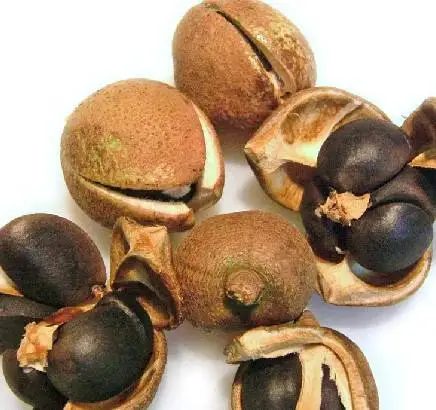 500 г Натуральный Порошок Семян камелии oleifera (масло чай камелии) для мытья посуды и