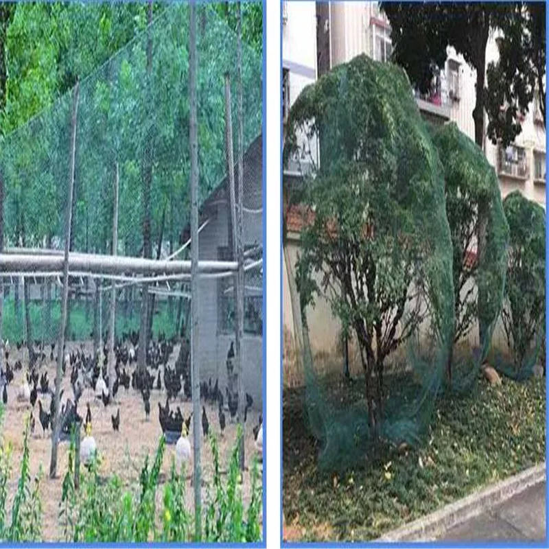 Сетка для птиц синяя защитная сетка сада 10 м оптом|fence mesh|chicken fencechicken mesh fence |