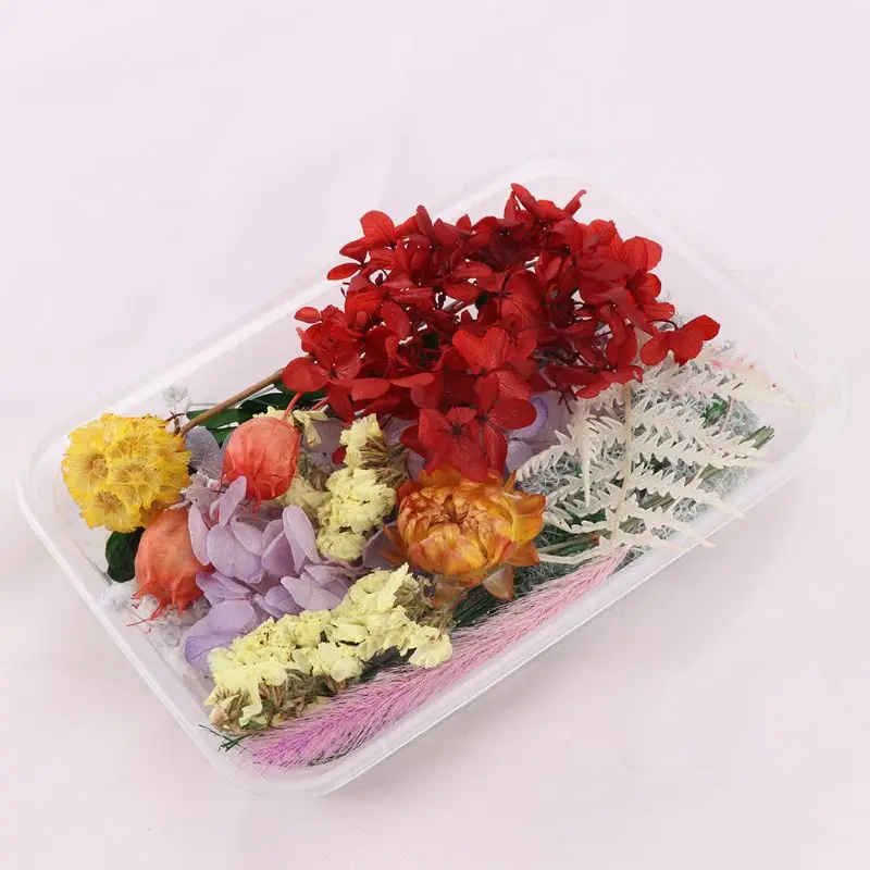 

Free Shipping 1 Box Real Mix Dried Flowers for Resin Jewellery Dry Plants Pressed Flower Making Craft DIY Accessories Home Use