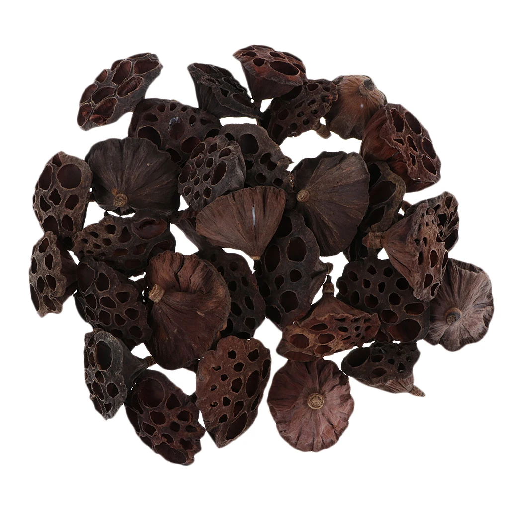 Натуральные сушеные цветы лотоса 30 шт./фрукты на Рождество цветочные украшения