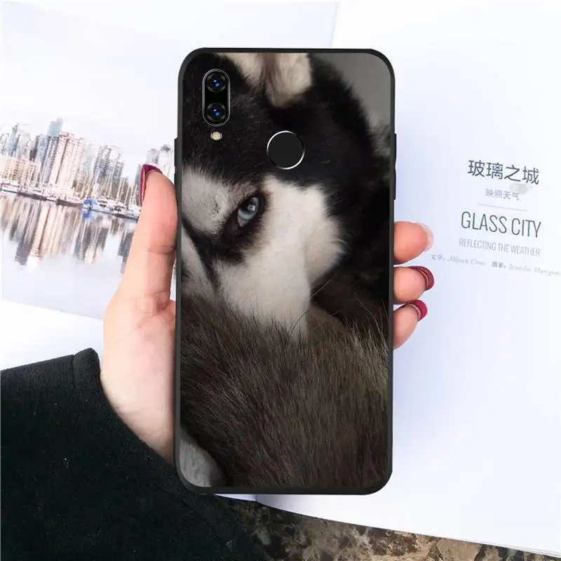 

husky cute funny dog animal Phone Case For Huawei honor Mate P 10 20 30 40 Pro 10i 9 10 20 8 x Lite Luxury brand shell funda