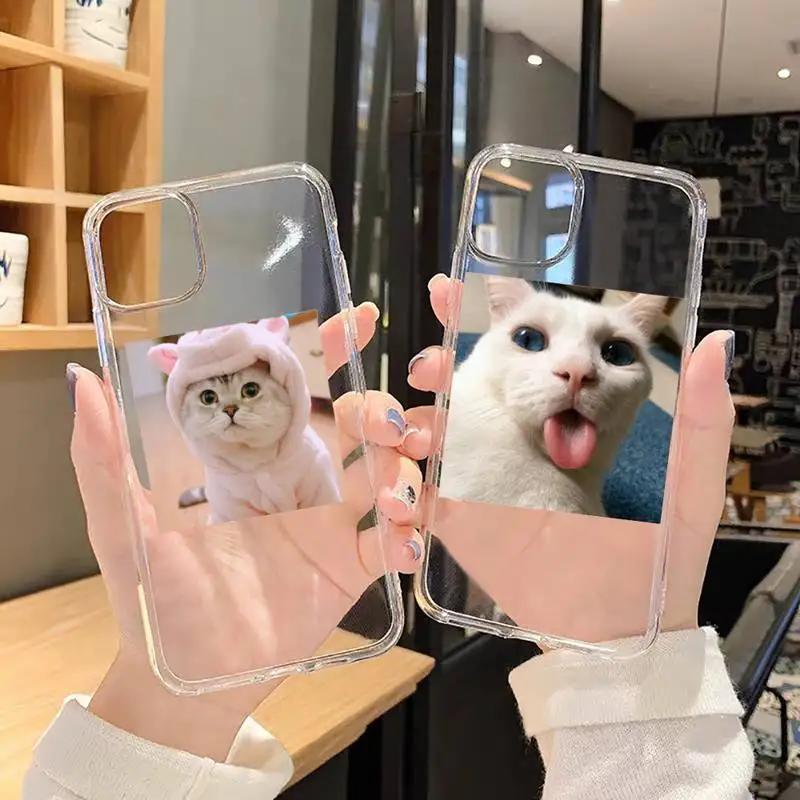 

Cute Cats lovely Phone Case Transparent for iPhone 6 7 8 11 12 s mini pro X XS XR MAX Plus SE cover funda shell