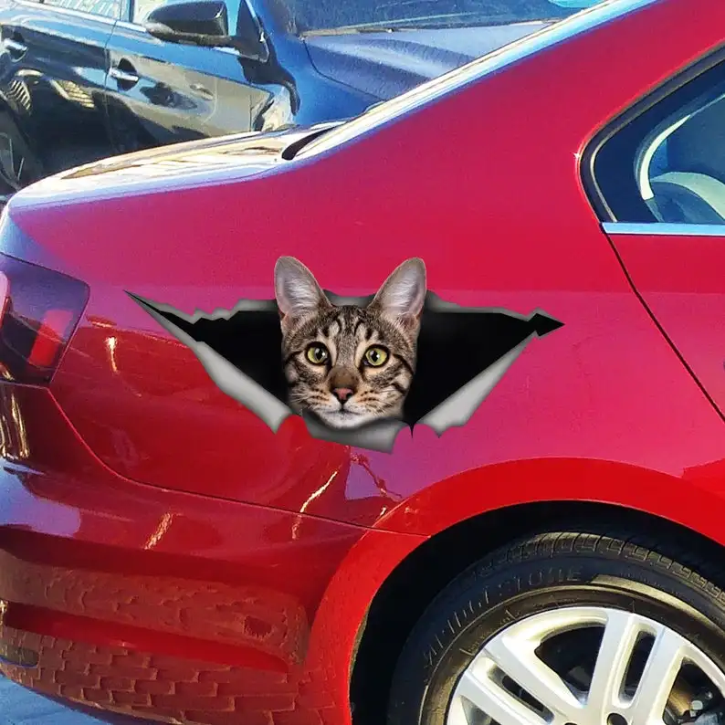 

2021 Savannah cat decal, cat car decal, funny sticker, cat car sticker