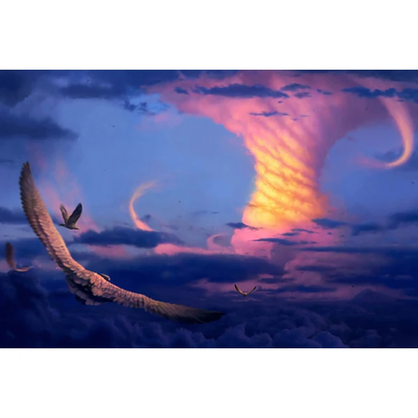 Алмазная 5D картина &quotсделай сам&quot ураган Орл полная вышивка алмазная мозаика