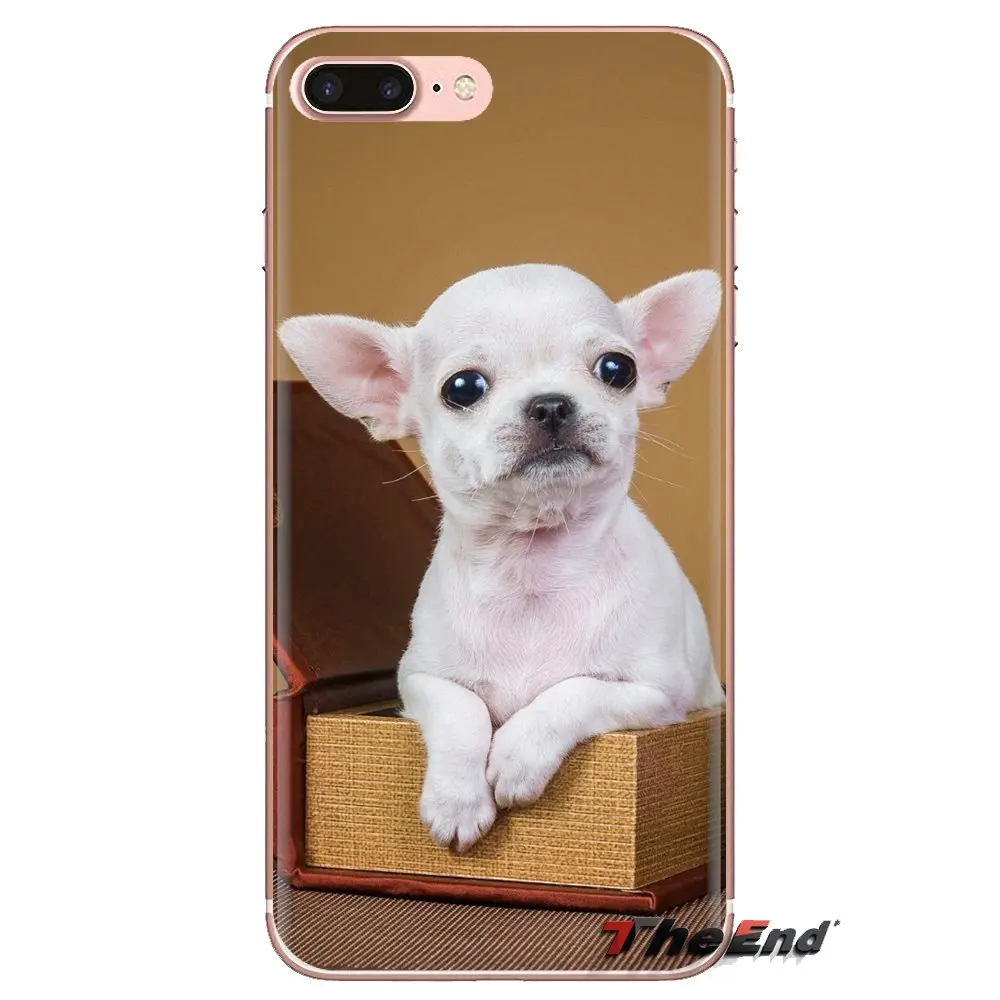 Силиконовый чехол для телефона Чехлы iPod Touch Apple iPhone 4 4s 5 5S SE 5C 6 6S 7 8 X XR XS Plus MAX собака