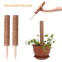 2pcs office with labels home balcony climbing vines moss rod totem support coconut coir plant stake tomato garden tool cable tie