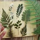 Наклейки для скрапбукинга, тропические растения, листья, 28 шт.