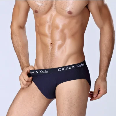 4pcs/Lot Men's Underwear Male New Arrival Modal Solid Briefs Underpants for Men Brief Men Sexy Slip Hombre Plus XXXXL-7XL