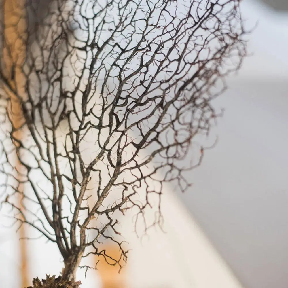 Дерево из морской ивы железное дерево Коралловая ветка красная ивовые украшения