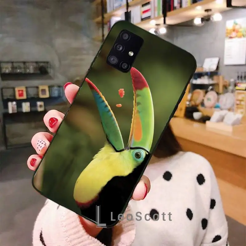 

Keel-billed Toucan Phone Case For Samsung A40 A31 A50 A51 A71 A20E A20S S8 S9 S10 S20 Plus note 20 ultra